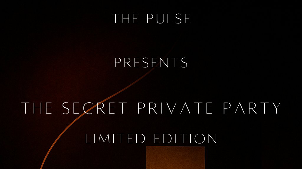 The Secret Private Party (invite only)